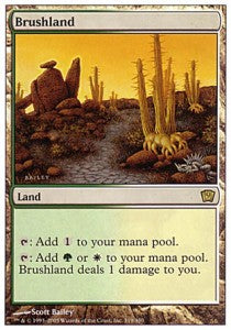 Brushland - Ninth Edition (Rare) [9ED-319] - JotaCards - Tu Tienda de TCG