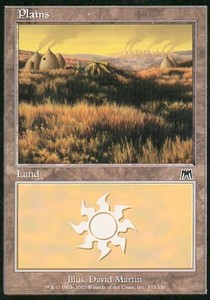 Plains (V.3) - Onslaught (Land) [ONS-333] - JotaCards - Tu Tienda de TCG