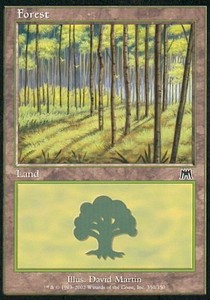 Forest (V.4) - Onslaught (Land) [ONS-350] - JotaCards - Tu Tienda de TCG