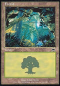 Forest (V.1) - Onslaught (Land) [ONS-347] - JotaCards - Tu Tienda de TCG