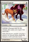 Trained Caracal - Return to Ravnica (Common) [RTR-27] - JotaCards - Tu Tienda de TCG