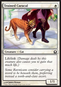 Trained Caracal - Return to Ravnica (Common) [RTR-27] - JotaCards - Tu Tienda de TCG