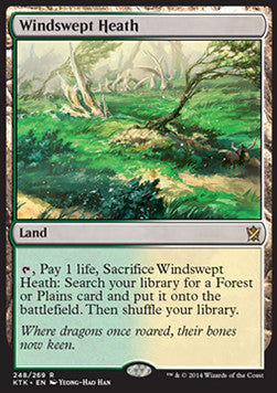 Windswept Heath - Khans of Tarkir (Rare) [KTK-248] - JotaCards - Tu Tienda de TCG