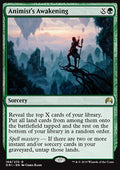 Animist's Awakening - Magic Origins (Rare) [ORI-169] - JotaCards - Tu Tienda de TCG