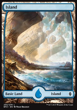 Island (V.1) - Battle for Zendikar (Land) [BFZ-255] - JotaCards - Tu Tienda de TCG