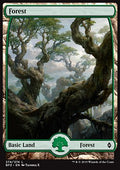 Forest (V.9) - Battle for Zendikar (Land) [BFZ-274] - JotaCards - Tu Tienda de TCG
