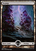 Swamp (V.7) - Battle for Zendikar (Land) [BFZ-263] - JotaCards - Tu Tienda de TCG