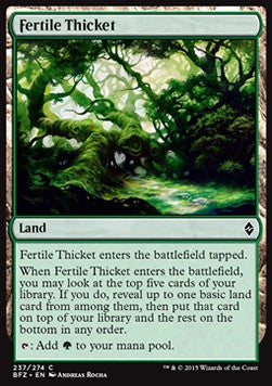Fertile Thicket - Battle for Zendikar (Common) [BFZ-237] - JotaCards - Tu Tienda de TCG