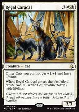 Regal Caracal - Amonkhet (Rare) [AKH-24] - JotaCards - Tu Tienda de TCG
