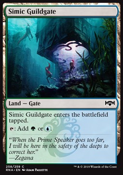 Simic Guildgate (V.2) - Ravnica Allegiance (Common) [RNA-258] - JotaCards - Tu Tienda de TCG