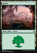 Forest (V.1) - War of the Spark (Land) [WAR-262] - JotaCards - Tu Tienda de TCG