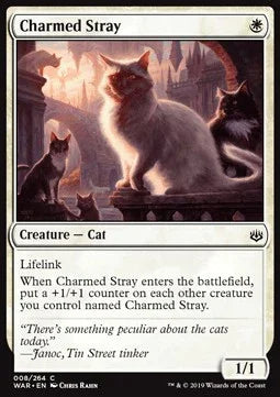 Charmed Stray - War of the Spark (Common) [WAR-8] - JotaCards - Tu Tienda de TCG