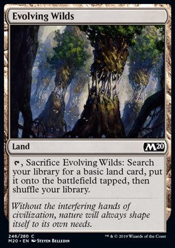 Evolving Wilds - Core 2020 (Common) [M20-246] - JotaCards - Tu Tienda de TCG