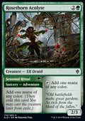 Rosethorn Acolyte // Seasonal Ritual - Throne of Eldraine (Common) [ELD-174] - JotaCards - Tu Tienda de TCG