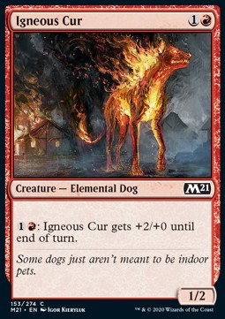 Igneous Cur - Core 2021 (Common) [M21-153] - JotaCards - Tu Tienda de TCG