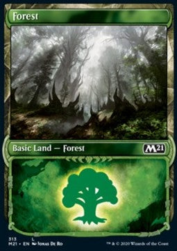 Forest - Core 2021: Extras (Land) [XM21-313] - JotaCards - Tu Tienda de TCG