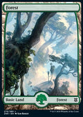 Forest (V.1) - Zendikar Rising (Land) [ZNR-278] - JotaCards - Tu Tienda de TCG