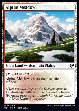 Alpine Meadow - Kaldheim (Common) [KHM-248] - JotaCards - Tu Tienda de TCG