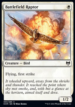 Battlefield Raptor - Kaldheim (Common) [KHM-3] - JotaCards - Tu Tienda de TCG