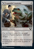 Expanded Anatomy - Strixhaven: School of Mages (Common) [STX-2] - JotaCards - Tu Tienda de TCG