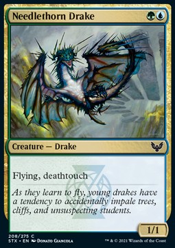 Needlethorn Drake - Strixhaven: School of Mages (Common) [STX-208] - JotaCards - Tu Tienda de TCG