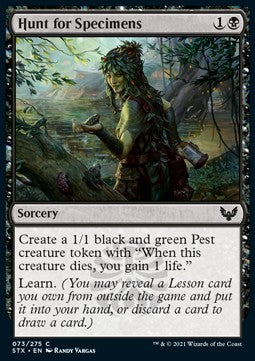 Hunt for Specimens - Strixhaven: School of Mages (Common) [STX-73] - JotaCards - Tu Tienda de TCG