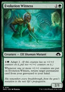 Evolution Witness - Modern Horizons 3 (Common) [MH3-151] - JotaCards - Tu Tienda de TCG