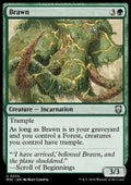 Brawn - Commander: Modern Horizons 3 (Uncommon) [M3C-224] - JotaCards - Tu Tienda de TCG