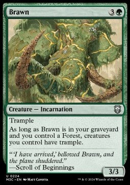Brawn - Commander: Modern Horizons 3 (Uncommon) [M3C-224] - JotaCards - Tu Tienda de TCG