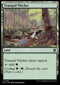 Tranquil Thicket - Commander: Bloomburrow (Common) [BLC-350] - JotaCards - Tu Tienda de TCG