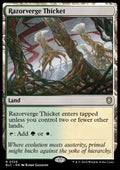 Razorverge Thicket - Commander: Bloomburrow (Rare) [BLC-325] - JotaCards - Tu Tienda de TCG