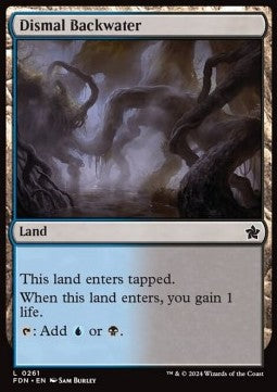 Dismal Backwater - Magic: The Gathering Foundations (Common) [FDN-261] - JotaCards - Tu Tienda de TCG