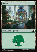 Forest (V.3) - Aetherdrift (Land) [DFT-291] - JotaCards - Tu Tienda de TCG