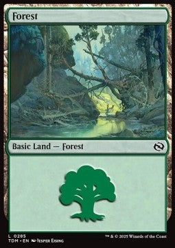 Forest (V.2) - Tarkir: Dragonstorm (Land) [TDM-285] - JotaCards - Tu Tienda de TCG