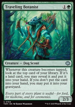 Traveling Botanist - Tarkir: Dragonstorm (Uncommon) [TDM-164] - JotaCards - Tu Tienda de TCG