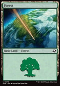 Forest (V.3) - Edge of Eternities (Land) [EOE-276] - JotaCards - Tu Tienda de TCG