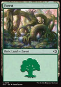Forest (V.1) - Lorwyn Eclipsed (Land) [ECL-273] - JotaCards - Tu Tienda de TCG