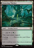 Festering Thicket - Commander: Lorwyn Eclipsed (Rare) [ECC-61] - JotaCards - Tu Tienda de TCG