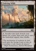 Evolving Wilds