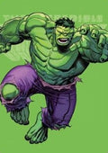 Art Series: The Incredible Hulk (V.1)